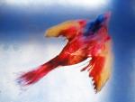 A-Uccello